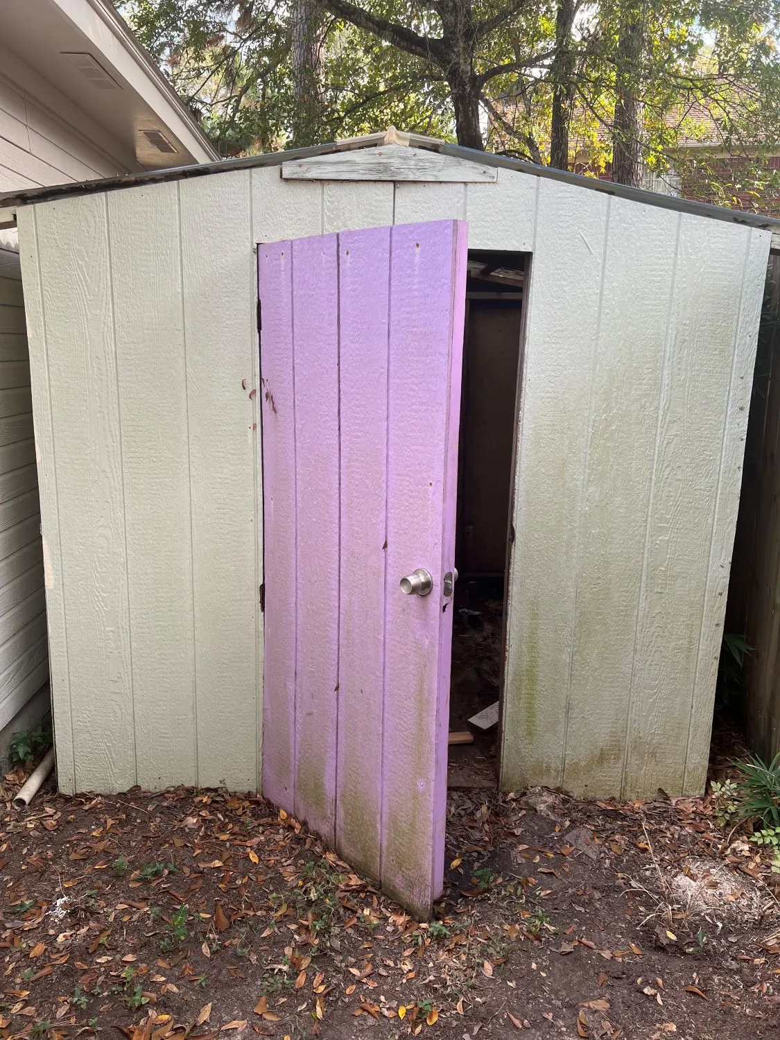 Old rotting 12x10 shed before demolition and removal by Clearout Junk in The Woodlands TX